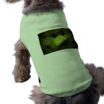 Frog Reflections Dog Shirt pet clothing