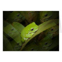 Frog Reflections Greeting Card