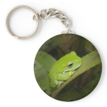 Frog Reflections Keychain