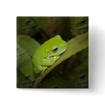 Frog Reflections Square Pin
