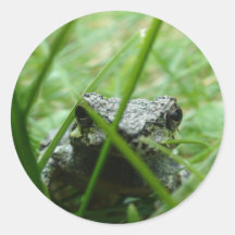 Frog Round Stickers