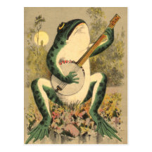 Frog Serenade Postcard