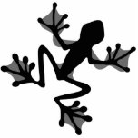 Frog Silhouette Cut Out Sculpture photo sculptures