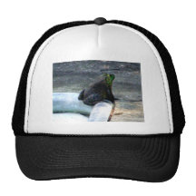 Frog Sitting By A Pool Trucker Hat