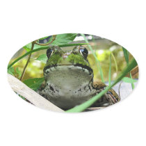 FROG OVAL STICKERS