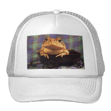Frog Toad in black wagon with plaid background Mesh Hats