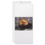 Frog Toad in black wagon with plaid background rack cards
