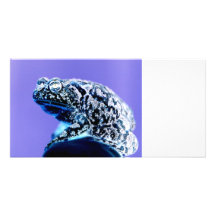 Frog toad  photo inverted blue black customized photo card
