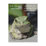 Frog & Unicorn postcards