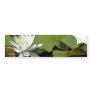 Frog Water Lily Flower Photo Bumper Sticker