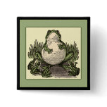 Frog with Baby Frogs buttons