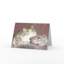 Froggie Friends Greeting Cards