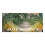 FROGGIE photo cards