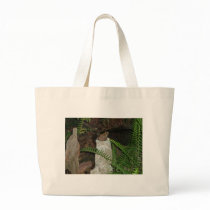 Froggies Courting Tote Bags