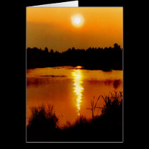 Frogmore Ponds cards