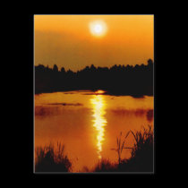 Frogmore Ponds postcards