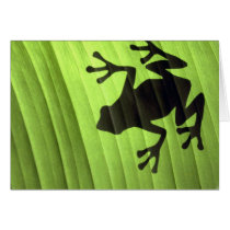 Frogs Card