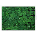 Frogs cards