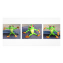 FROGS DOLLS TOYS photo cards