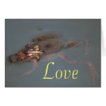 Frogs In Love Card