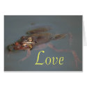 Frogs In Love cards