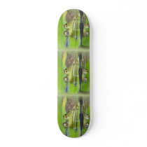 Frogs in Swamp Skateboard