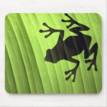Frogs Mousepads