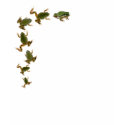 Frogs On Parade t-shirts