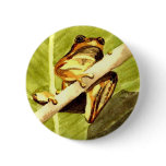 Frog's View buttons