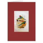 Frohawk - 3 Gouldian Finches Card