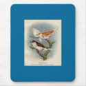 Frohawk - Bengalese Finches mousepads