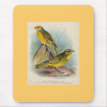 Frohawk - Cape Canary & Sulpher-Crested Seed-Eater mousepads