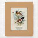 Frohawk - Chestnet-Breasted & Three-Coloured Finch mousepads