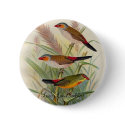 Frohawk - Orange-Cheeked Waxbill & Zebra Waxbill buttons