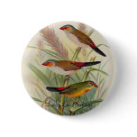 Frohawk - Orange-Cheeked Waxbill & Zebra Waxbill buttons