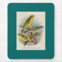 Frohawk - St. Helena Waxbill & Green Singing Finch mousepads