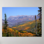 from 11,000 ft elevation poster