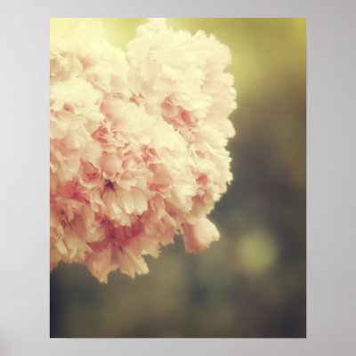 "From A Passing Car" Poster by starlingphotos