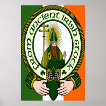 From Ancient Irish Stock Irish Flag Print