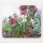 From Below - Garden Hellebore Plant mousepads