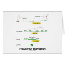From Gene To Protein Greeting Card