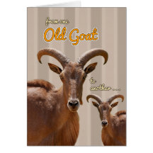 From One Old Goat to Another Funny Birthday Card