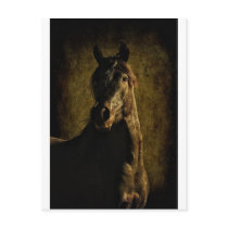 From the Darkness Postcards