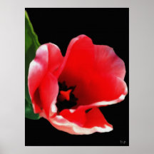 From The Garden Prints