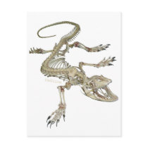 From the Skulls Collection