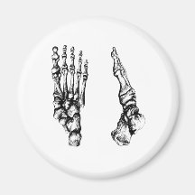 Front and side view of bones of the feet magnet