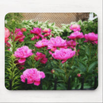 Front Yard Peonies mousepads