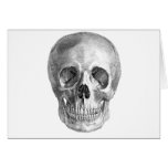 Frontal view drawing of a human skull cards