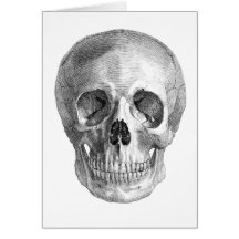 Frontal view drawing of a human skull card