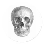 Frontal view drawing of a human skull stickers